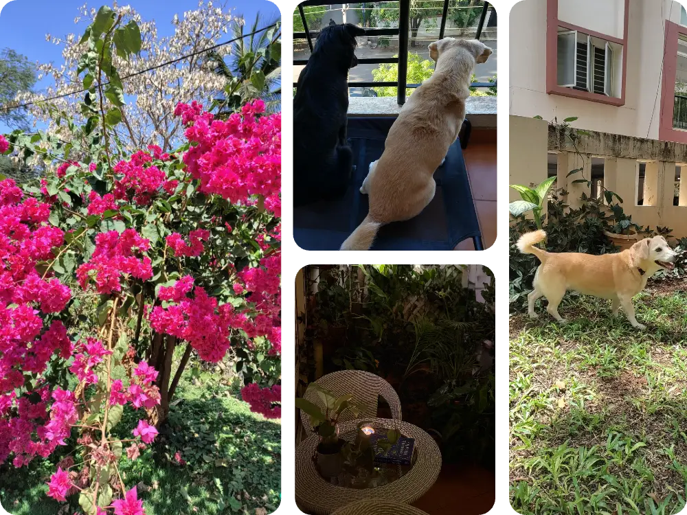 Aarti Bisla - Outside therapy