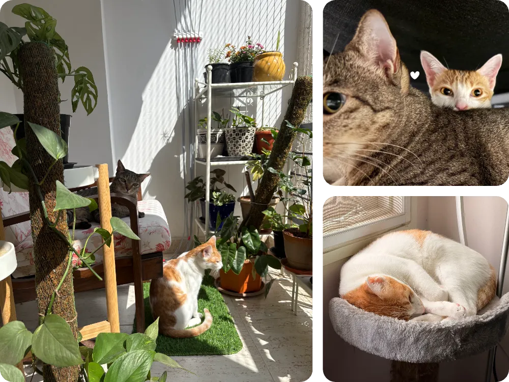 Annet Shaju - Outside therapy