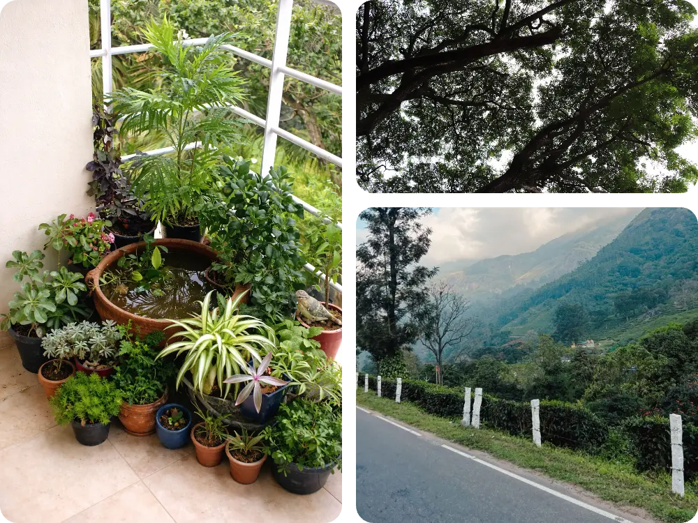 Navneeth Ramachandran - Outside therapy