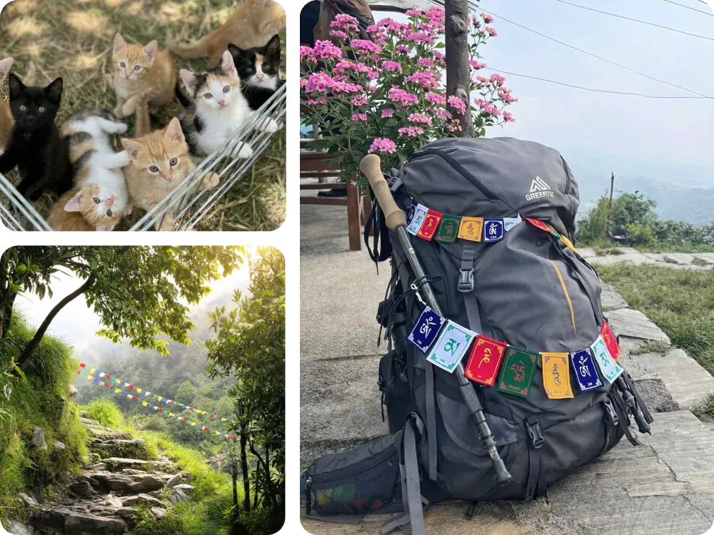 Sushma Ramachandran - Outside therapy